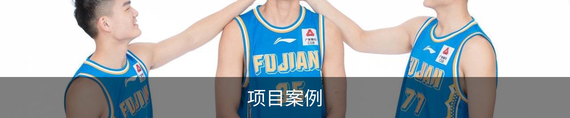 项目案例